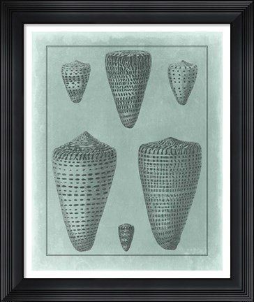 Framed Spa Shell Collection I Print