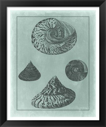 Framed Spa Shell Collection II Print