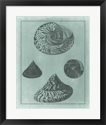 Framed Spa Shell Collection II Print