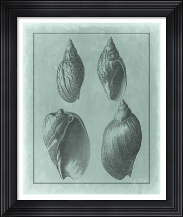Framed Spa Shell Collection III Print