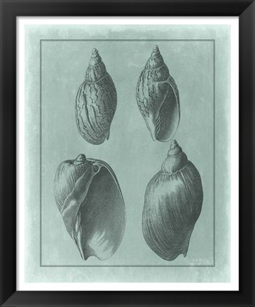 Framed Spa Shell Collection III Print