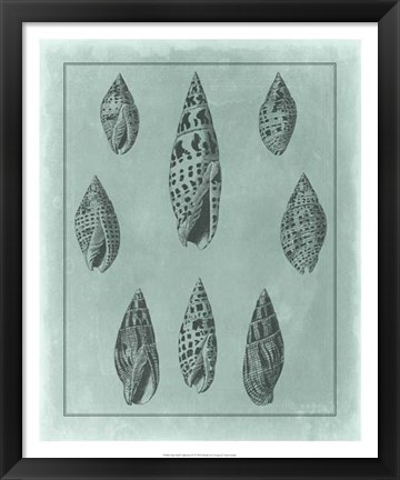 Framed Spa Shell Collection IV Print