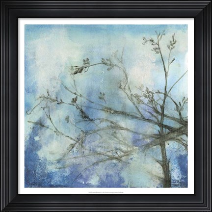 Framed Moonlit Branches II Print