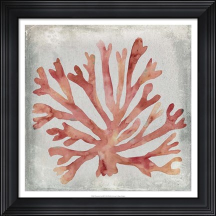 Framed Watercolor Coral III Print