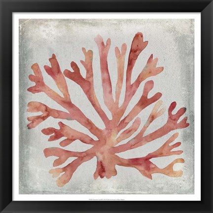Framed Watercolor Coral III Print