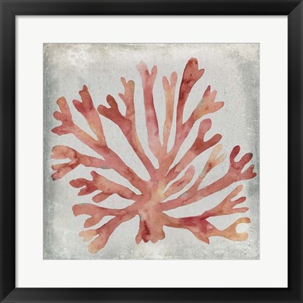 Framed Watercolor Coral III Print