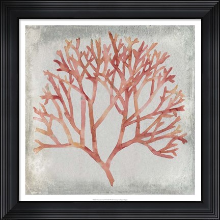 Framed Watercolor Coral IV Print