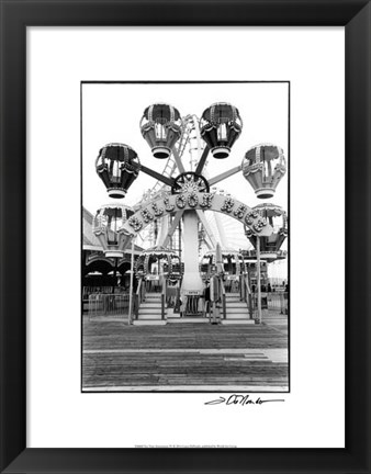 Framed For Your Amusement IV Print