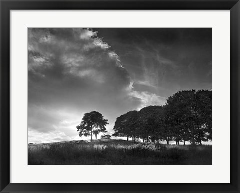 Framed Touched by Sunlight Print