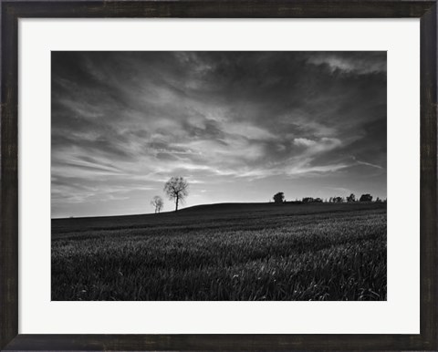 Framed Black &amp; White Sunset Print