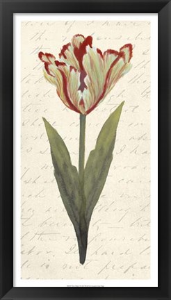 Framed Twin Tulips I Print