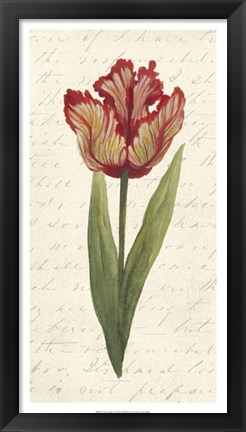 Framed Twin Tulips II Print