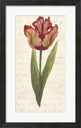 Framed Twin Tulips II Print