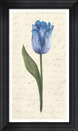 Framed Twin Tulips III Print