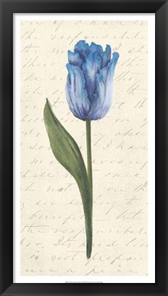 Framed Twin Tulips III Print