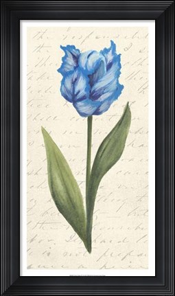 Framed Twin Tulips IV Print