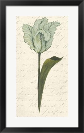 Framed Twin Tulips V Print