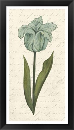 Framed Twin Tulips VI Print