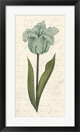 Framed Twin Tulips VI Print