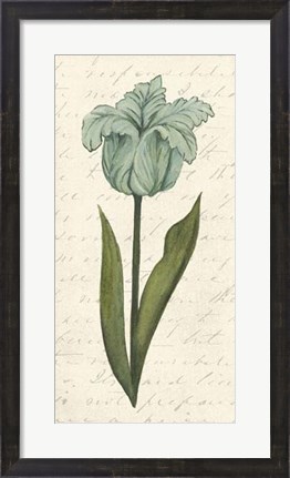 Framed Twin Tulips VI Print