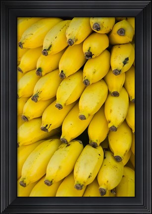 Framed Oman, Dhofar Region, Salalah. Local bananas for Sale Print