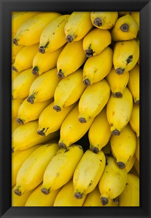 Framed Oman, Dhofar Region, Salalah. Local bananas for Sale Print