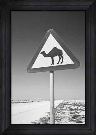 Framed Qatar, Al Zubarah. Camel Crossing Sign-Road to Al-Zubarah NW Qatar Print