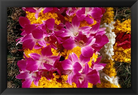 Framed Asia, Singapore. Flowers for sale Print