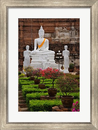 Framed White Buddha, Wat Yai Chaya Mongkol or The Great Temple of Auspicious Victory, Ayutthaya, Thailand Print