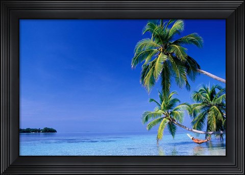 Framed Maldives, Felidhu Atoll. Man relaxing in hammock Print