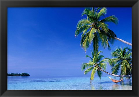 Framed Maldives, Felidhu Atoll. Man relaxing in hammock Print