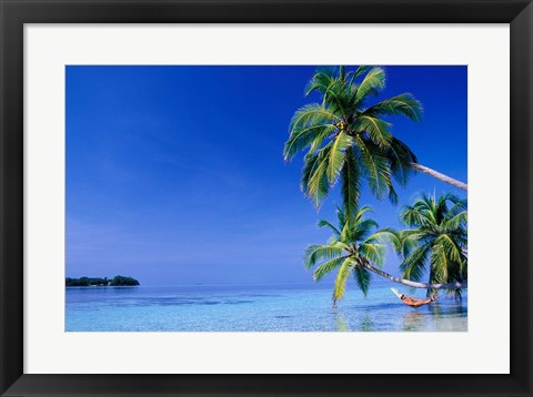 Framed Maldives, Felidhu Atoll. Man relaxing in hammock Print