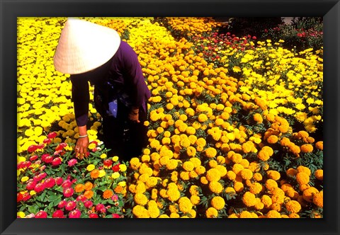 Framed Beautiful Graphic with Woman in Straw Hat and Colorful Flowers Vietnam Mekong Delta Print