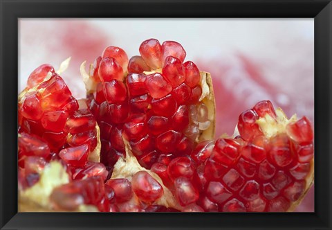 Framed Pomegranate on the street raw or made into juice, Bangkok, Thailand Print