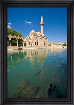 Framed Halil-ur Rahman Mosque, Pool of Abraham, Urfa, Turkey Print