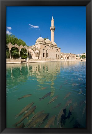 Framed Halil-ur Rahman Mosque, Pool of Abraham, Urfa, Turkey Print