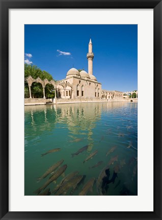 Framed Halil-ur Rahman Mosque, Pool of Abraham, Urfa, Turkey Print