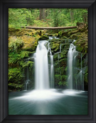 Framed View of Whitehorse Falls, Umpqua National Forest, Oregon Print