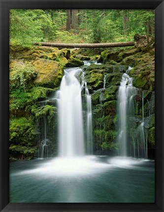 Framed View of Whitehorse Falls, Umpqua National Forest, Oregon Print