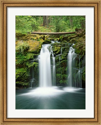 Framed View of Whitehorse Falls, Umpqua National Forest, Oregon Print