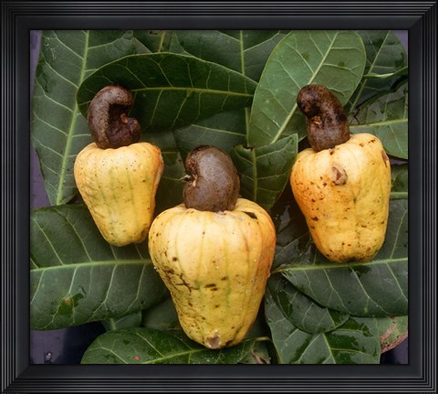 Framed Cashew Nuts, Thailand Print