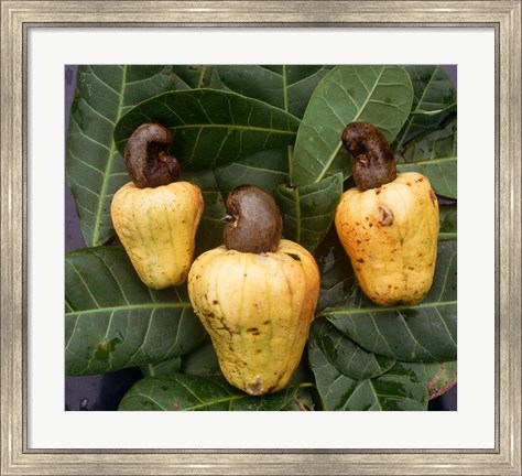 Framed Cashew Nuts, Thailand Print