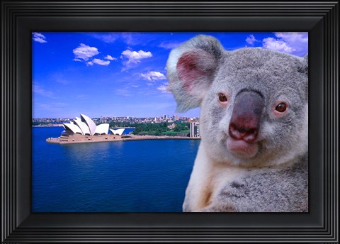 Framed Portrayal of Opera House and Koala, Sydney, Australia Print