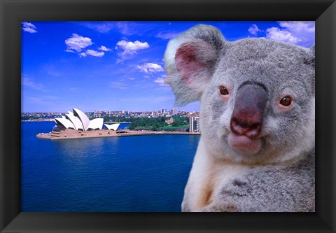 Framed Portrayal of Opera House and Koala, Sydney, Australia Print