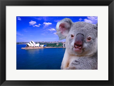 Framed Portrayal of Opera House and Koala, Sydney, Australia Print