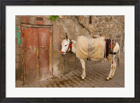Framed Donkey and Cobbled Streets, Mardin, Turkey Print