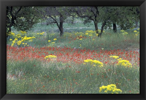 Framed Rural Landscape and Wildflowers, Cappadocia, Turkey Print