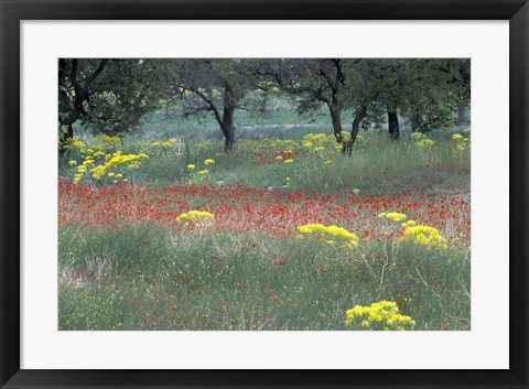 Framed Rural Landscape and Wildflowers, Cappadocia, Turkey Print