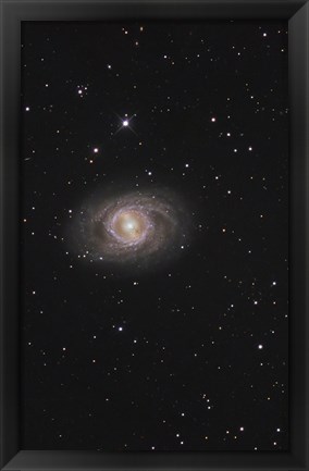 Framed Messier 95, A Barred Spiral Galaxy in the Constellation Leo Print