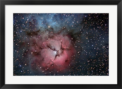 Framed Trifid Nebula Print